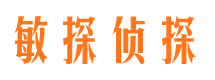 大观敏探私家侦探公司